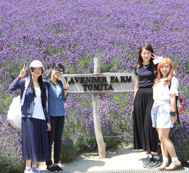 日本北海道遊學-薰衣草